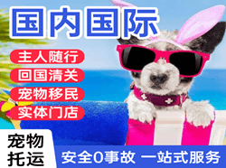 柳州机场空运国际宠物托运 【国